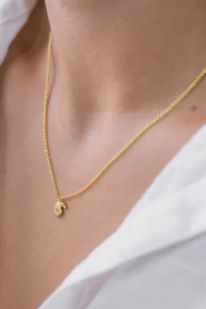 Jolie & Deen Womens SEASHELL NECKLACE GOLD