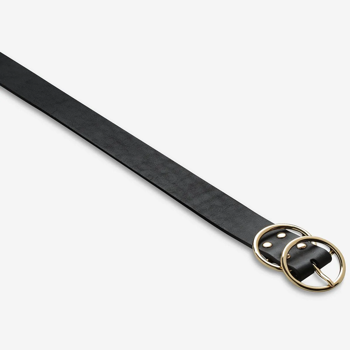 STATUS ANXIETY Womens Mislaid Leather Belt - Black w Gold Buckle