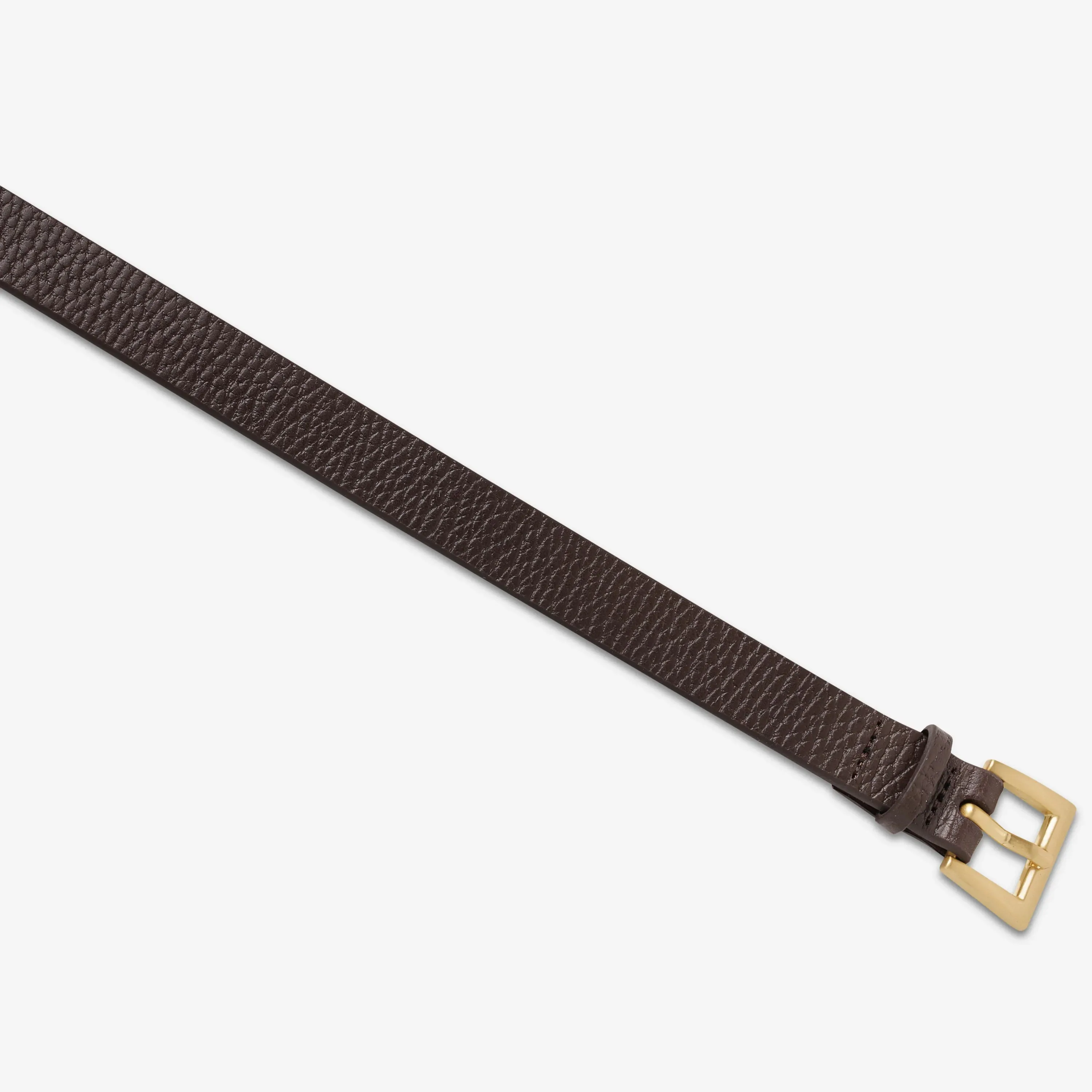 STATUS ANXIETY Womens Part Of Me Leather Belt - Choc/ Gold